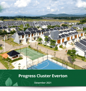 Progress-Cluster-Everton